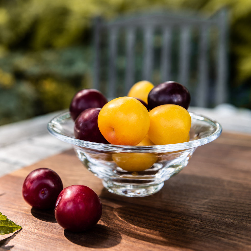 Simon Pearce | Shelburne Bowl