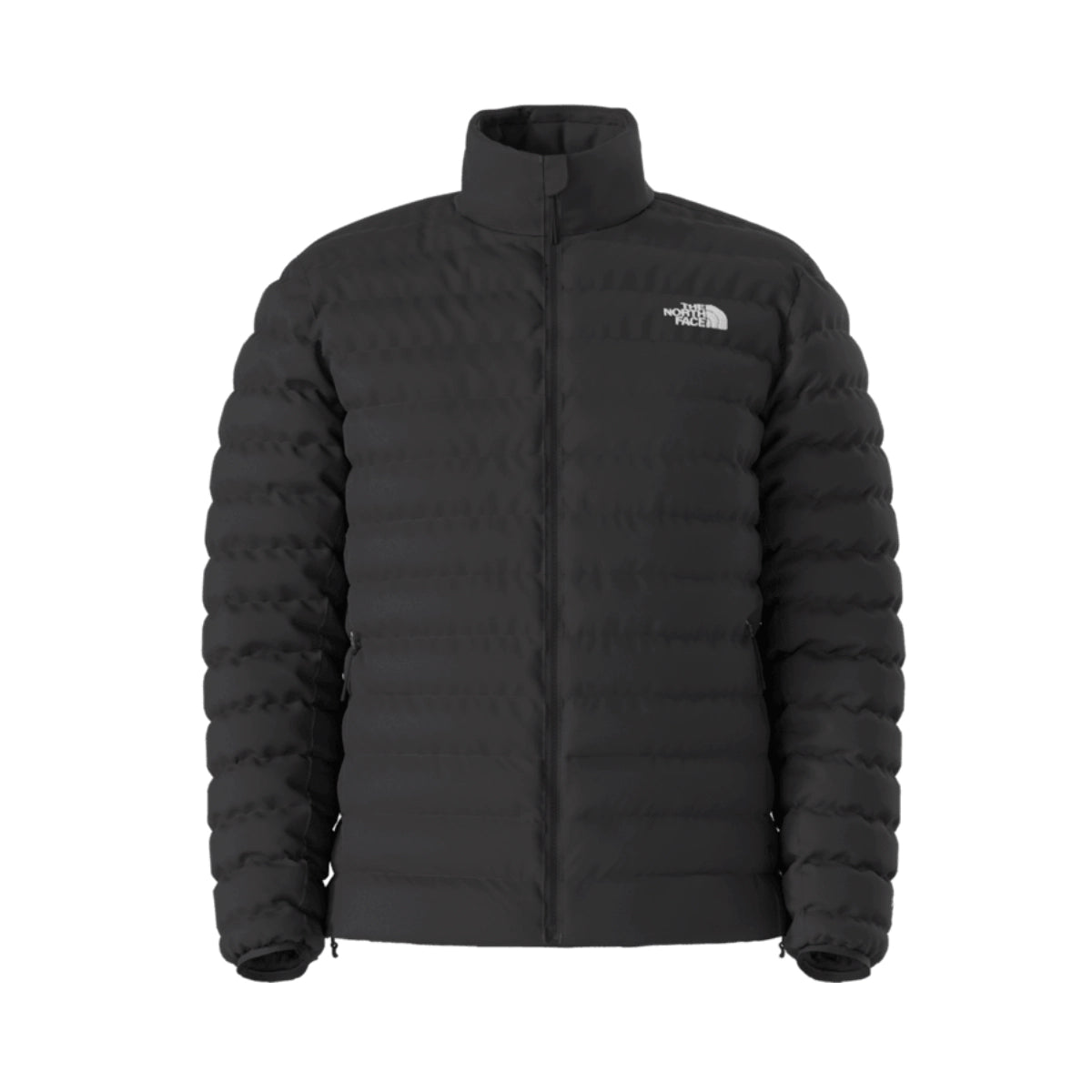 The North Face | Men's Classic Down Jacket