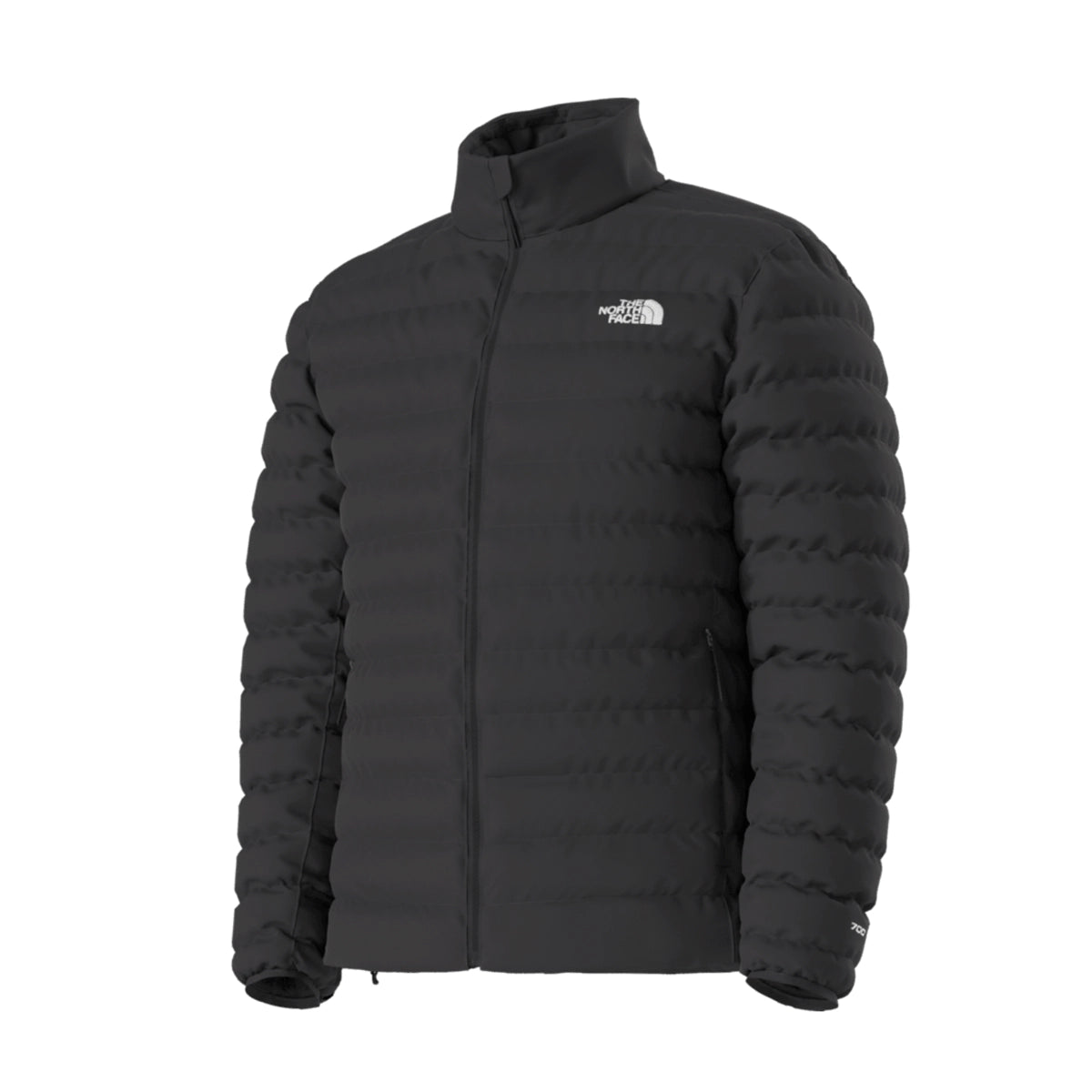 The North Face | Men's Classic Down Jacket
