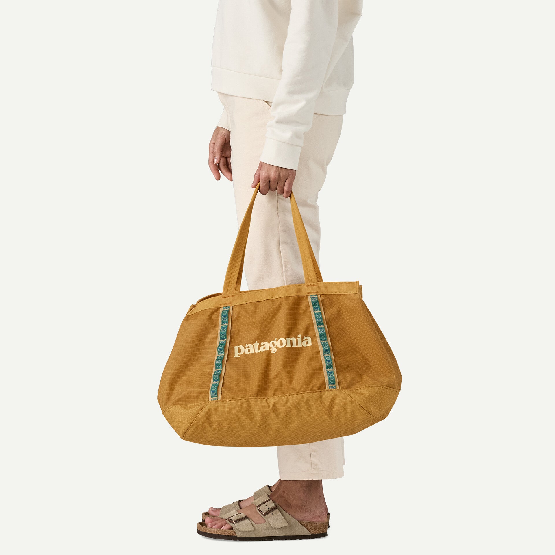 Patagonia | Black Hole® Tote 25L