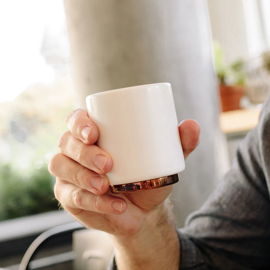 Fellow | Monty Milk Art Cups