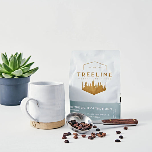 Forest & Field | Morning Brew Gift Box
