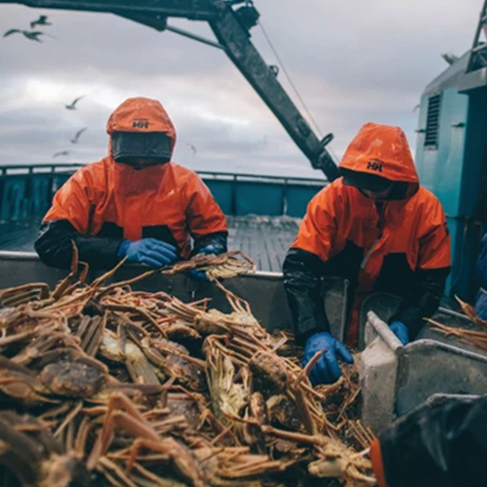 Helly Hansen | Storm Waterproof Rain Jacket - Men's